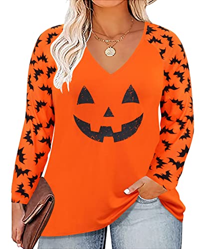 Image of TIYOMI Plus Size Tops for Women Raglan Long Sleeve V Neck T Shirts Casual Color Block Leopard /Floral Tops Winter Tee Shirt