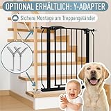ib style Treppenschutzgitter Berrin - Türschutzgitter für Babys, Ohne Bohren, Hundegitter zum Klemmen, Schutzgitter für Babys, Schwarz, Breite: 130-140 cm
