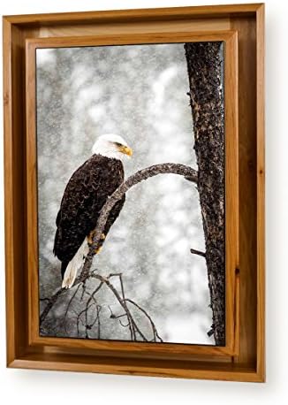 Stealth Furniture Hidden Compartment Picture- Wall Mounted Type 1- Medium (Light Hickory - Bald Eagle)