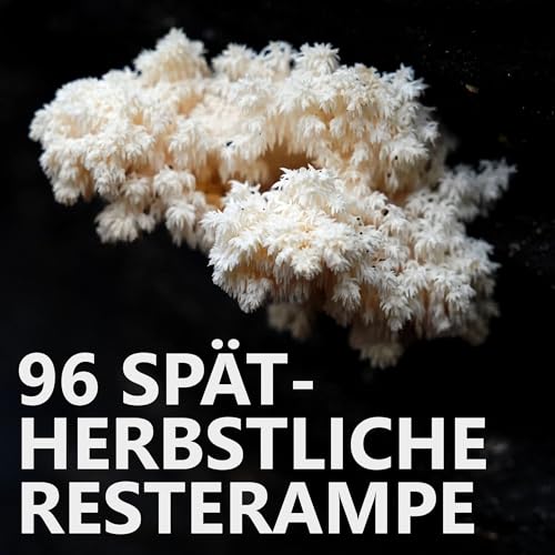 #96 Sp&auml;therbstliche Resterampe