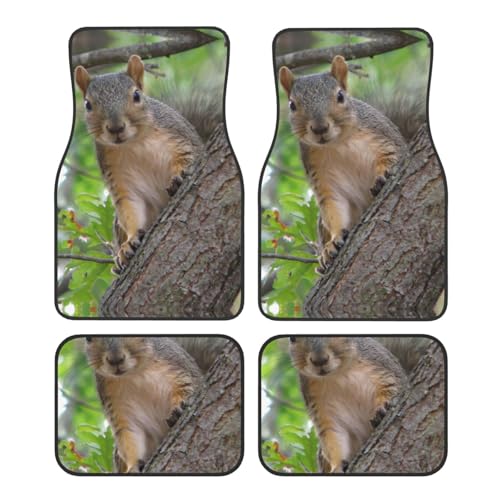 Tapis de voiture écureuil universels : lot de 4 pour berline, SUV et camion