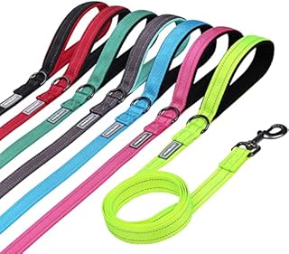 Vivaglory Dog Lead with Padded Handle, Heavy Duty Reflective 5ft Nylon Dog Training Walking Lead Leash for Small & Medium Dogs, Black