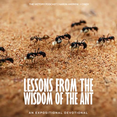 Created for Good Works || Lessons From The Wisdom of the Ant Devotional