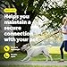 PetSafe Nylon Leash - Helps Maintain Secure Connection on Walks - Durable Pet Leash with Easy Clip - 1 in. x 4 ft. - Black