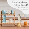 Bico Cartoon Cat Coffee Mugs Set of 4, Cute Ceramic Mugs with Unique Cats Faces, Stoneware Coffee Tea Mug Gifts for Cat Lovers, Women and Men, Microwave and Dishwasher Safe (10 oz)