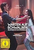  Warten auf Schwalben