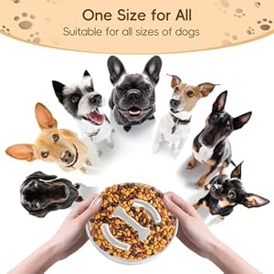 Stainless Steel Dog Slow Feeder Bowl  Metal Pet Food Bowl for Healthy Eating  Nonslip Easytoclean Heavyduty Slow Feeding Bowl for Large Medium Dogs Suitable for Wet and Dry Food  Cucciolini Doodles Stainless steel dog slow feeder bowl  metal pet food bowl for healthy eating  non slip easy to clean heavy duty slow feeding bowl for large medium dogs suitable for wet and dry food   cucciolini doodles