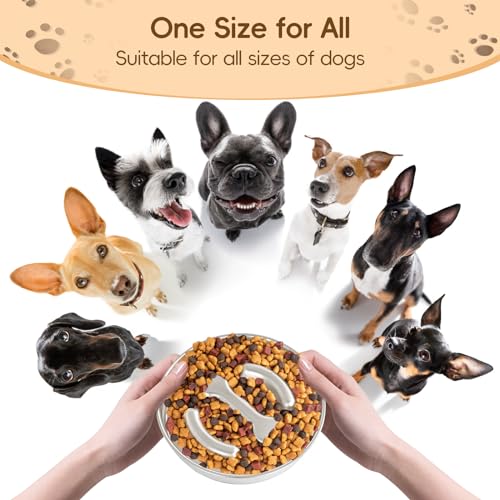 Stainless Steel Dog Slow Feeder Bowl  Metal Pet Food Bowl for Healthy Eating  Nonslip Easytoclean Heavyduty Slow Feeding Bowl for Large Medium Dogs Suitable for Wet and Dry Food  Cucciolini Doodles Stainless steel dog slow feeder bowl  metal pet food bowl for healthy eating  non slip easy to clean heavy duty slow feeding bowl for large medium dogs suitable for wet and dry food   cucciolini doodles