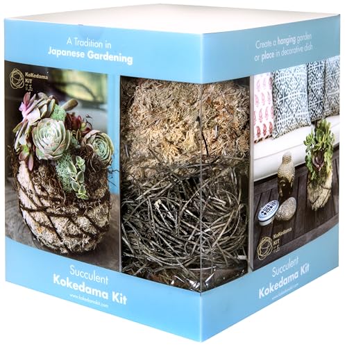 SuperMoss (90431 Succulent Kokedama Kit 6” DIY Mounted or Hanging