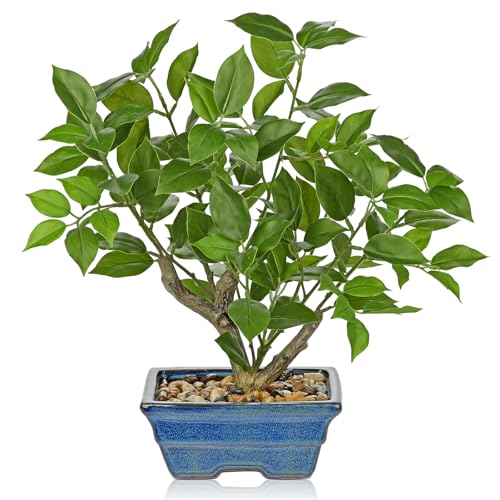 Briful Ficus artificiales de 15.3 pulgadas en maceta de cerámica azul, ficus verde de 39 cm, plantas artificiales de interior, pequeño árbol de ficus artificial para decoración del hogar y la oficina