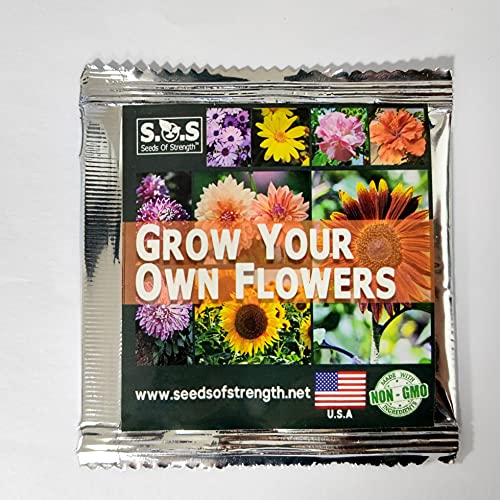 Mix Color Rare Dahlia Seeds For Outdoor Garden Potted Flower Plants #TOP7