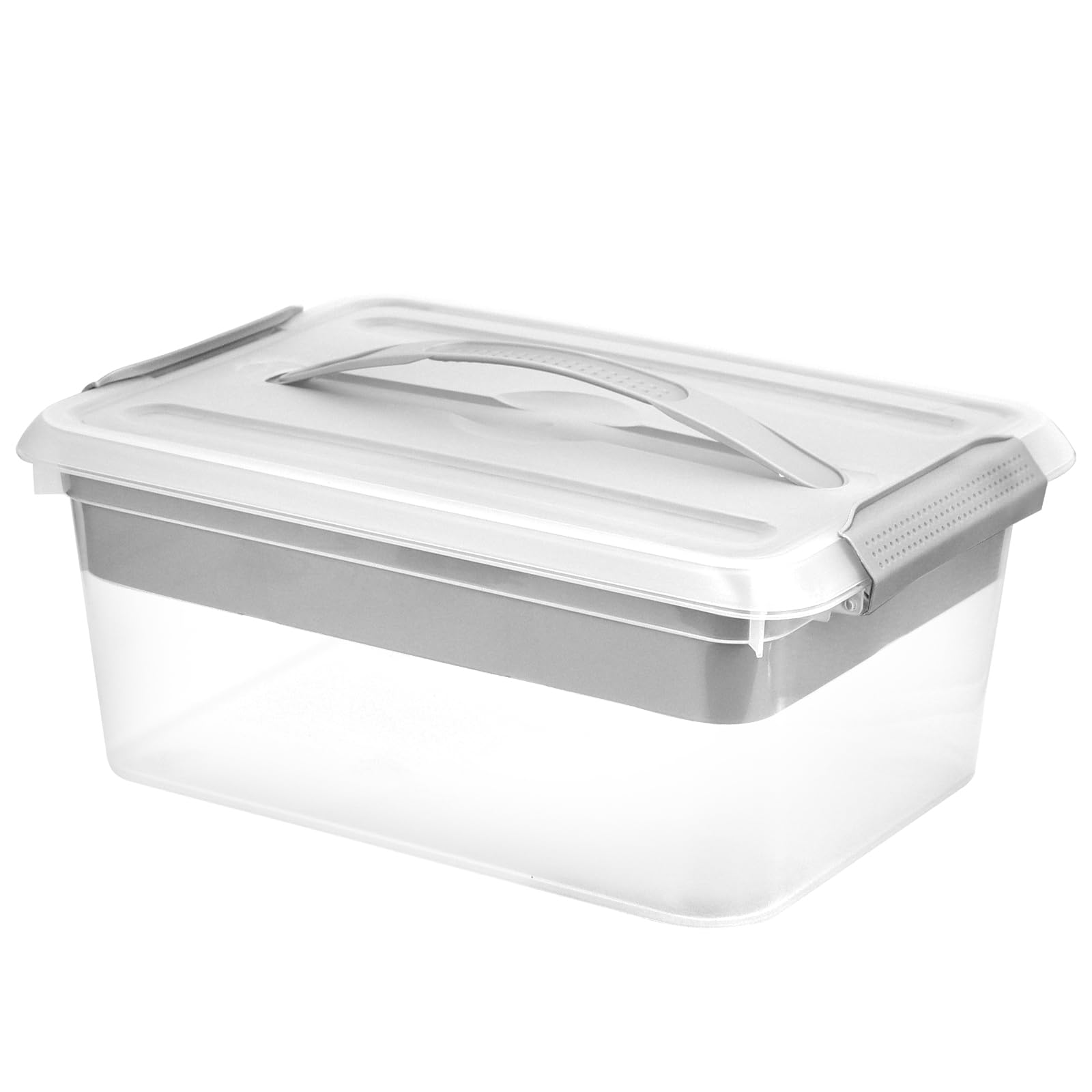 RWFMO Clear Craft Storage Box with Removable Tray, 2-Tier Plastic Craft Box with Lid and Handle, Plastic Storage Container for Art Supplies Building Blocks Sewing