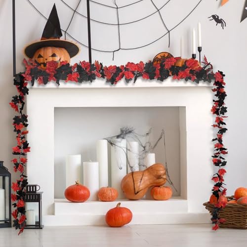 Photo complémentaire