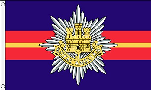Flagtex Royal Anglian Regiment Flag 5ft x 3ft Large Flag 150cm x 90cm, Multicolour