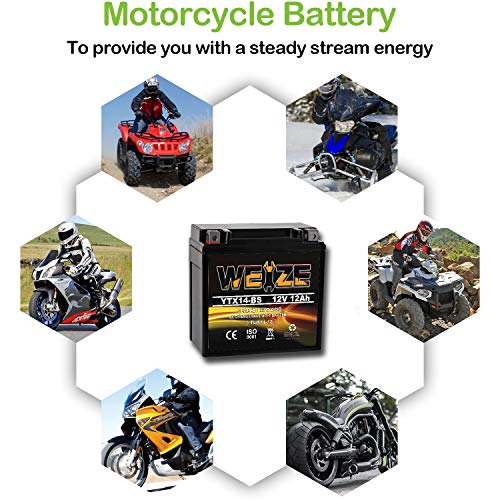 Weize YTX14-BS Motorcycle Battery Compatible thumb #9