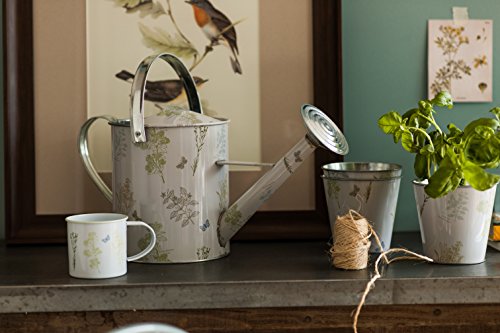 Premier Housewares 2450022 5 Liter Gießkanne – Natur/Grün