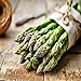 100 Piezas De Semillas De Espárragos De Alto Valor Nutritivo Bajo Costo Adecuado Para Plantar En La Cosecha Agrícola Cada Año Es Una De Los Jardineros Verduras Favoritas