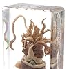 الحبار الحبار عينة الحيوانات في كتلة الاكريليك Paperweights عينات البحر العلوم الفصول الدراسية لتعليم العلوم