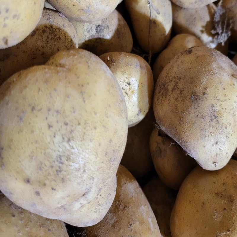 Caja de 15 kg de patatas para consumo