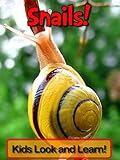 Snails! Learn About Snails and Enjoy Colorful Pictures - Look and Learn! (50+ Photos of Snails)