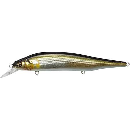 shiner lure