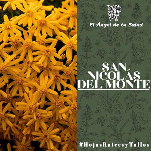El &Aacute;ngel de tu Salud - San Nicol&aacute;s del Monte**