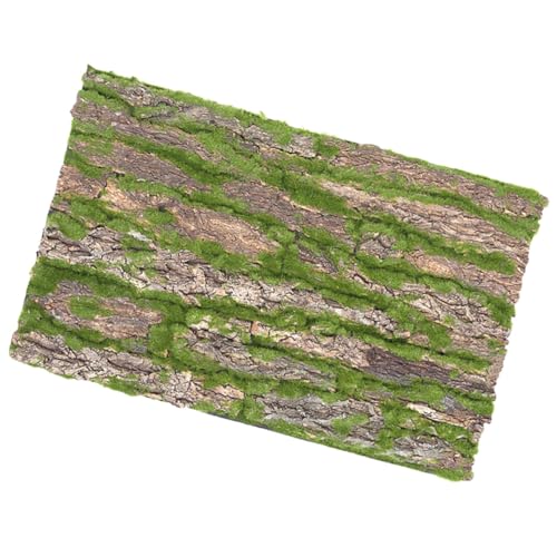 Corteza de árbol natural para terrario de reptiles con plataforma 2