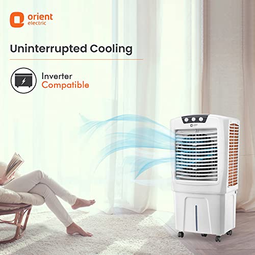 Orient Electric Aerostorm 71L Desert Air Cooler with Densenest