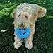 KONG Squeakz Dog Toy – Durable Rubber Fetch & Chew Toy with Squeakers, Interactive Enrichment Toy for Active Dogs (Wheel, Medium)