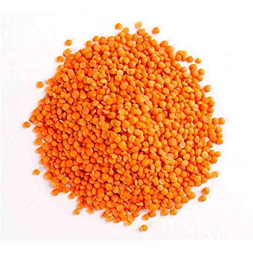 LENTILHA CANADENSE VERMELHA (GRANEL 500G)