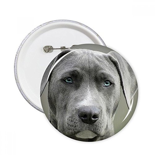 Badge bouton vêtement chien pins décoration ronde multicolore grand format L