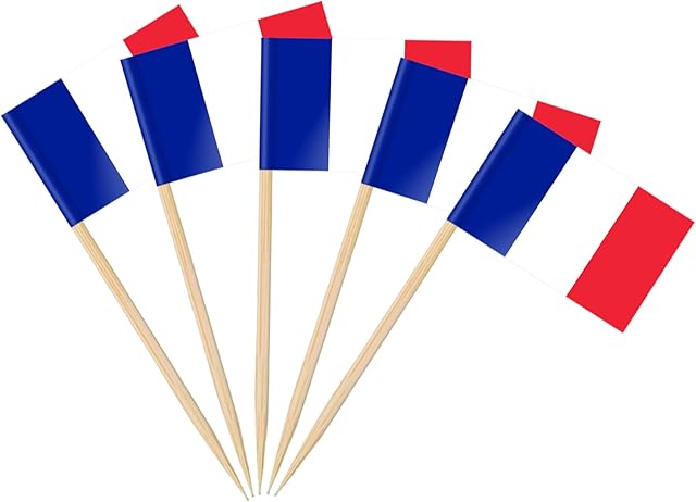 AhfuLife 100/200pcs World Cup 2022 France Toothpick Flags Cake Toppers, French Cocktail Stick Flag for Sandwich Food Cupcake Toppers Tableware Party Supplies Pub Royal Event Decor (100 Pcs)