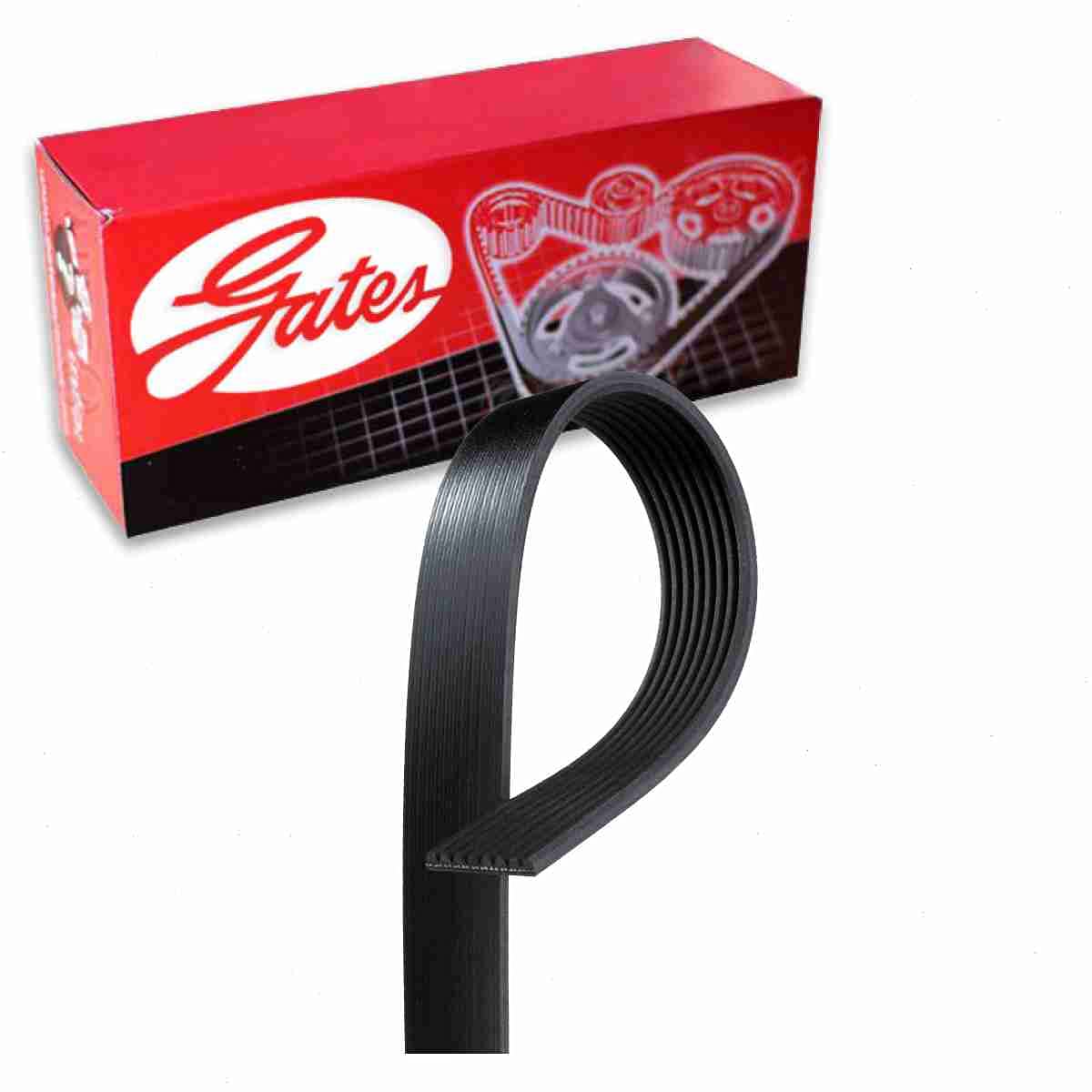 Gates Micro-V Serpentine Belt Compatible with Ford F-350 Super Duty 7.3L V8 1999-2003