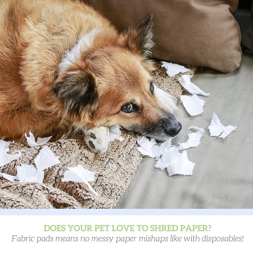 GREEN LIFESTYLE Almofadas de cama laváveis - almofadas de cama grandes para uso como almofadas de ca