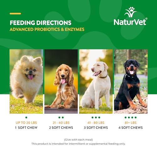 Image of NaturVet Advanced Probiotics & Enzymes Dog Supplement - 70 Soft Chews