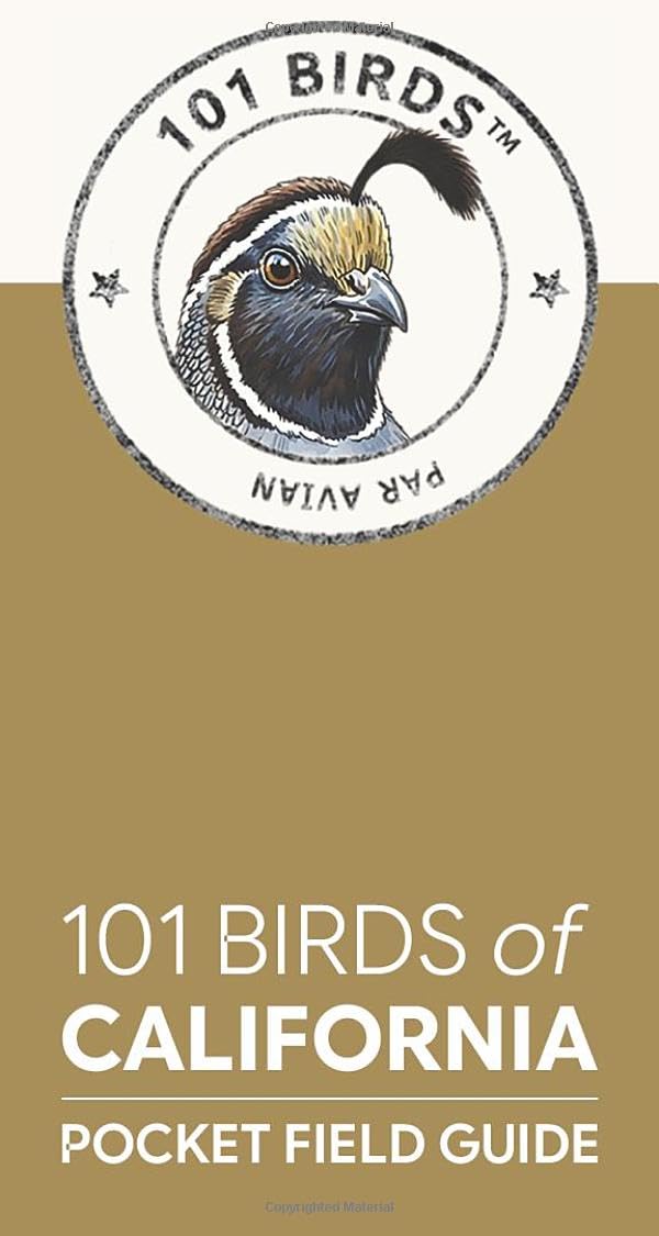 101 Birds of California: Pocket Field Guide (101 Birds Pocket Field Guides)