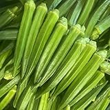 Okra, Okraschoten, gemüsesamen balkon wintergemüse kaufen geschenke für garten 400Samen