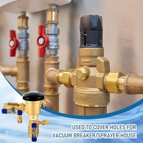 Image of MorningRo 34-720A 3 /4 inch 720A Brass Pressure Vacuum Breaker Assembly for Water Lines Valve Assembly Max 400 PSI Backflow Preventer Valve to Maintain Plumbing System Integrity (Blue)