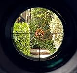 Review Image by J. Clark J. Clark