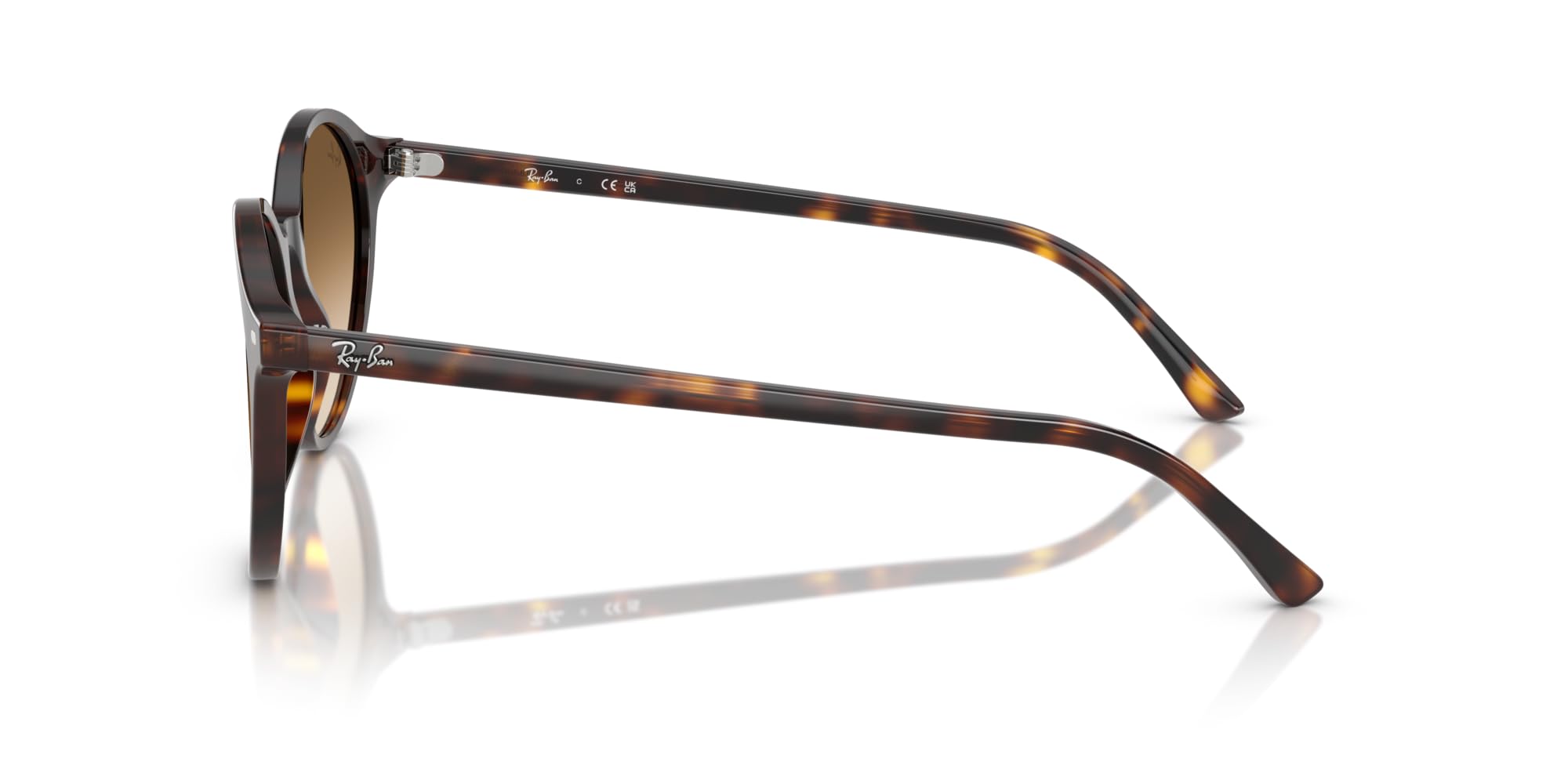 Ray-Ban Rb2230 Bernard Runde Sonnenbrille Havana/Braun Farbverlauf transparent