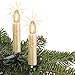 Produktbild hellum LED Lichterkette Weihnachtsbaum Made-in-Germany Christbaumbeleuchtung Kerzen Lichterkette innen mit Clip, 15 warmweiße LED-Filament, beleuchtet 980cm, Schaft perlmutt 814088