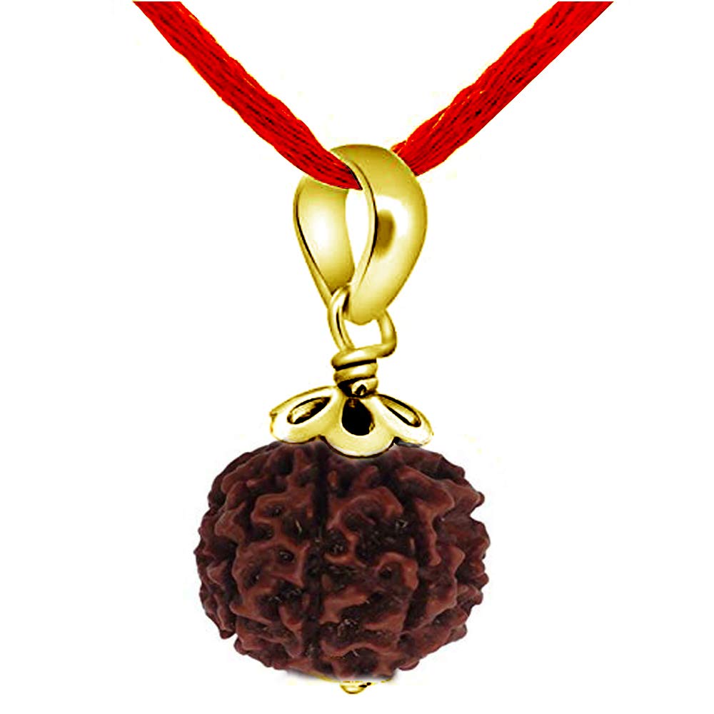 55Carat® Rudraksha-Anhänger, ursprünglich im Labor Zertifiziert, 1 2 3 4 5 6 7 8 9 10 11 12 13 Nepali Gauri Shankar Ganesh Mukhi vergoldeter Rudraksha-Anhänger