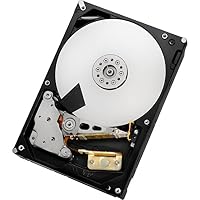 Western Digital – Hitachi HGST Ultrastar 7K6000 4TB (HUS726040ALA614/0F23102) 