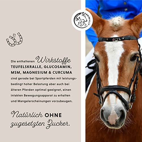 Annimally Gelenk Liquid für Pferde 1000ml mit Teufelskralle, Glucosamin und MSM (Schwefel) flüssig - Für die Stärkung der Gelenke beim Pferd - Alternative zu Pulver