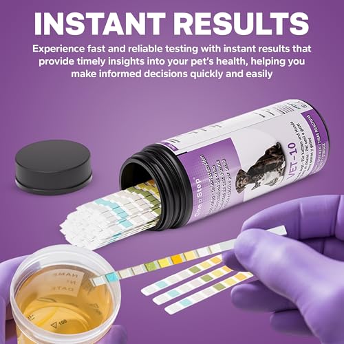 Image of One Step Pet Urine Testing Strips, 50 x Urinalysis Parameter Tests for Dogs, Cats, Vets, Accurate Testing for Veterinarians, Detects UTI, Diabetes, Bladder, Kidney, Liver, SG, pH, Glucose