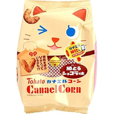 Buy Tohato Caramel Corn Snack French Chocolate Cake Gateaux Chocolat Online In Indonesia B091s32ly6