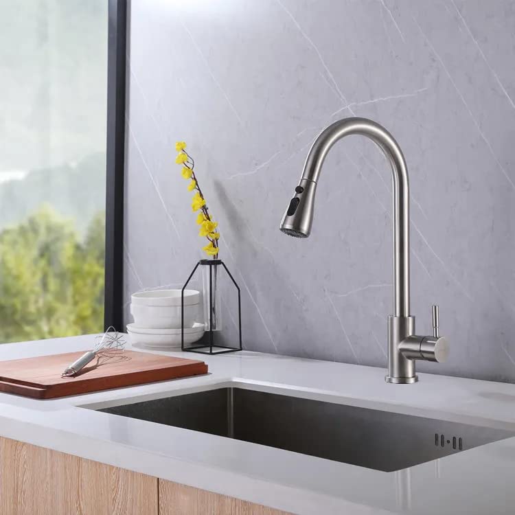 Aquieen Pull Out Kitchen Sink Mixer with Connecting Hoses (Classic Pull Out - Brushed SS Matte) (B09SY6MYD8) Amazon Price History, Amazon Price Tracker