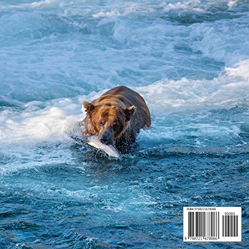 Bären Foto Buch: 100 wunderschöne Bilder von Pandabären, Polobären, Grizzlybären und vielem mehr in