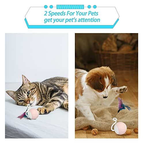 Gogodogya Cat Toy, Interactive Cat Toys Ball, Remote Control Ball For Cats Moving Cat Toy Electric Cat Toy Automatic Cat Toy For Indoor With Led Light 3Pcs Feathers & Usb Type-C Charging Cable #TOP1
