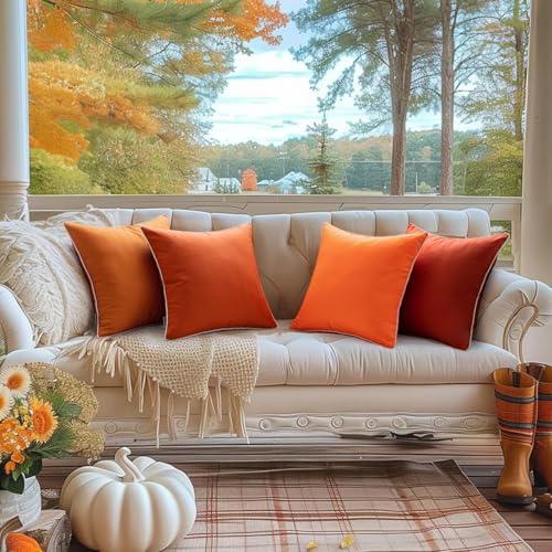 image for MIULEE Pack of 2 Outdoor Waterproof Pillow Covers Decorative Farmhouse